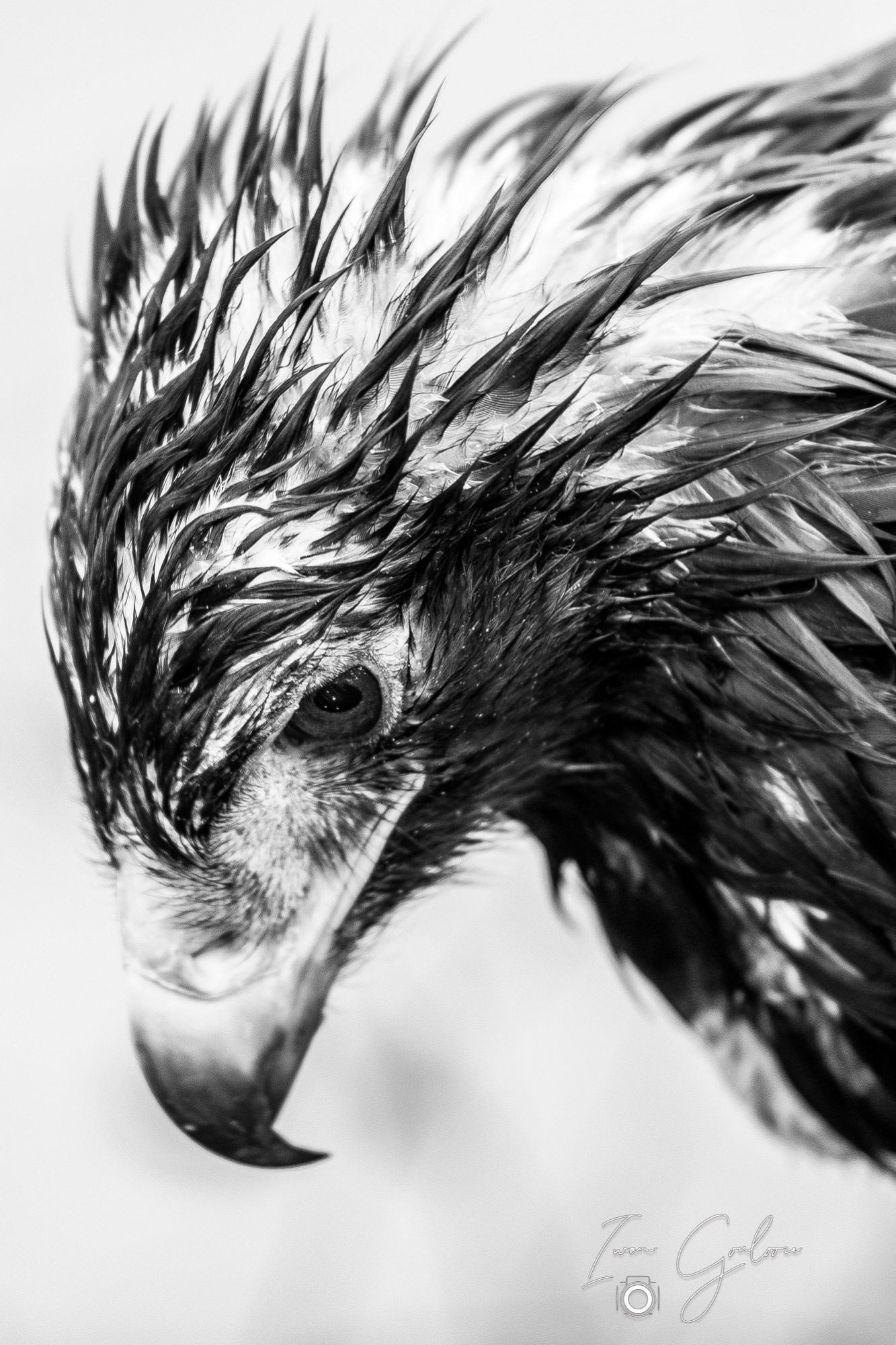  5D40658 12 december 2021 1140 27